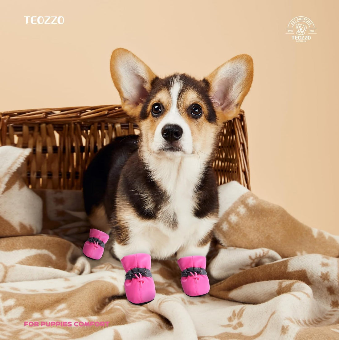 Dog Shoes for Hot Pavement, Summer Dog Boots & Paw Protector