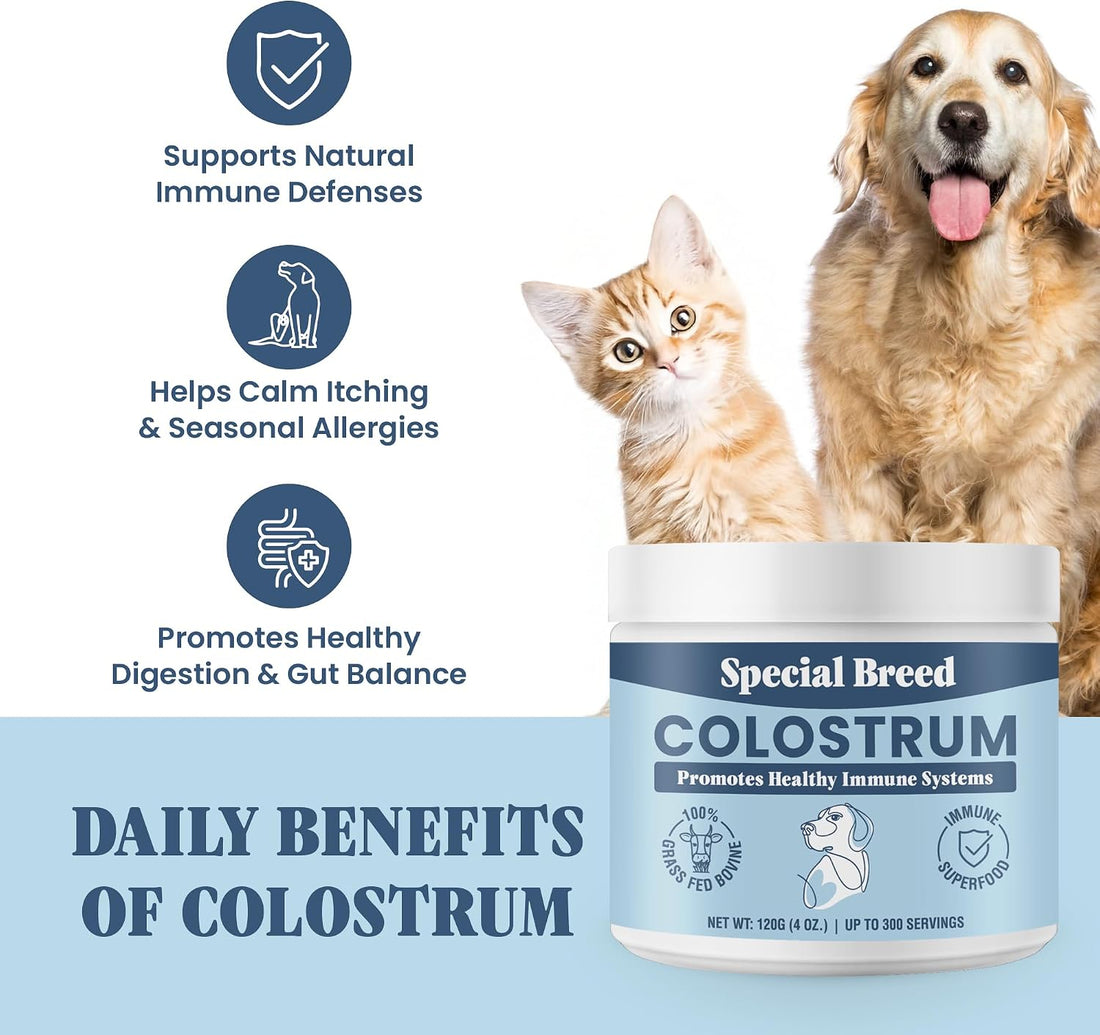 Bovine Colostrum for Dogs and Cats – Grass Fed Colostrum Powder