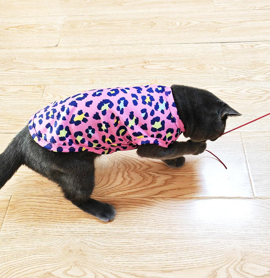 PET SHOW 4 Pack Paw Bone Printed Dog Clothes Shirts Soft Vest
