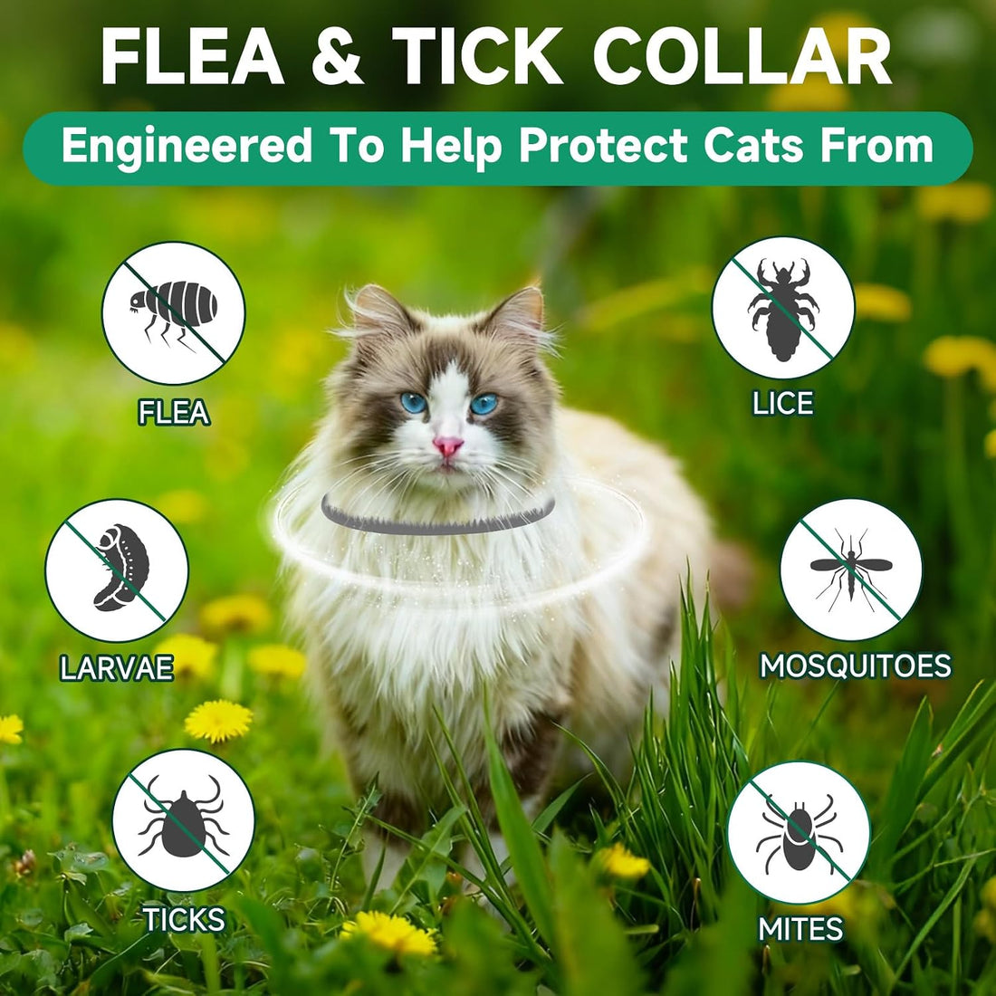 4 Pack Cat Flea Collars, Cat Flea and Tick Treatment