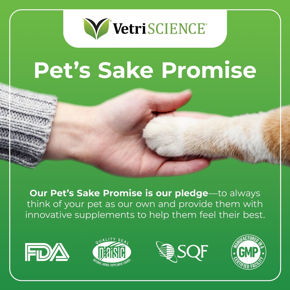 VetriScience Senior 27+ Active Health Chews for Senior Cats, Fish