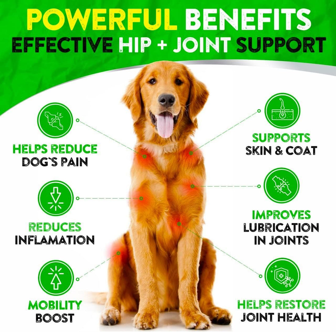 Hemp Hip and Joint Supplement for Dogs - Glucosamine for Dogs