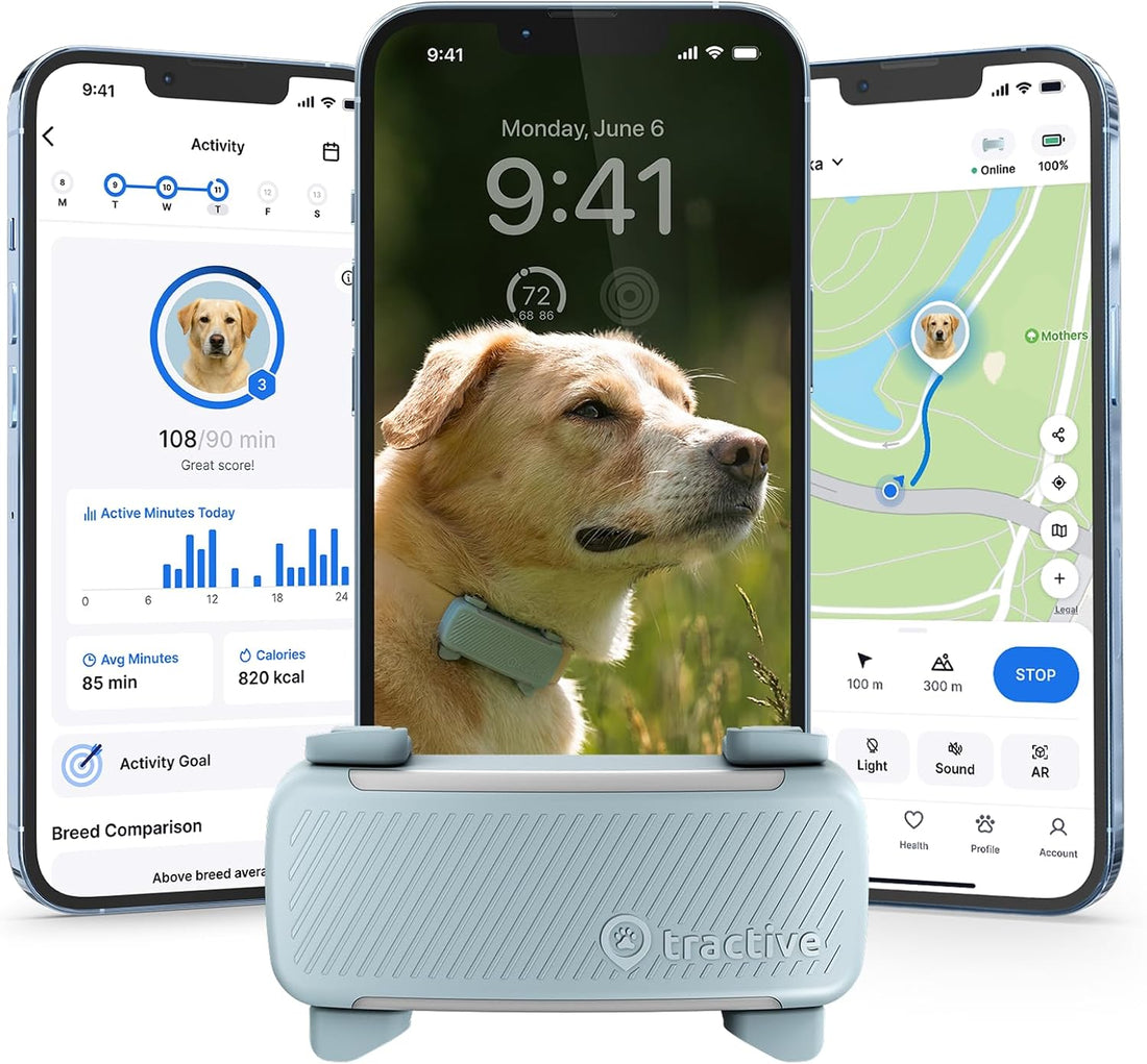 Tractive Smart Dog GPS Tracker | Live Pet Tracker with Virtual Fence