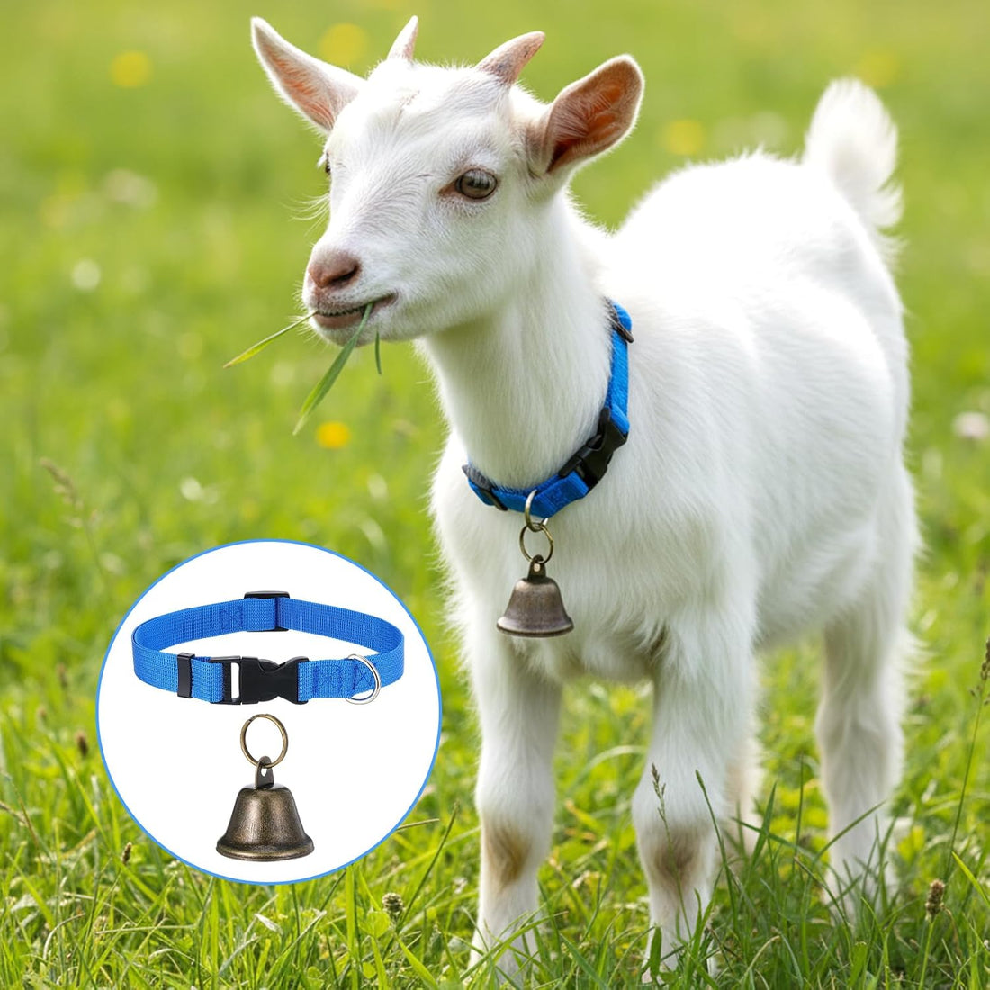4 Pack Sheep Grazing Copper Bells & Adjustable Nylon Collar Set