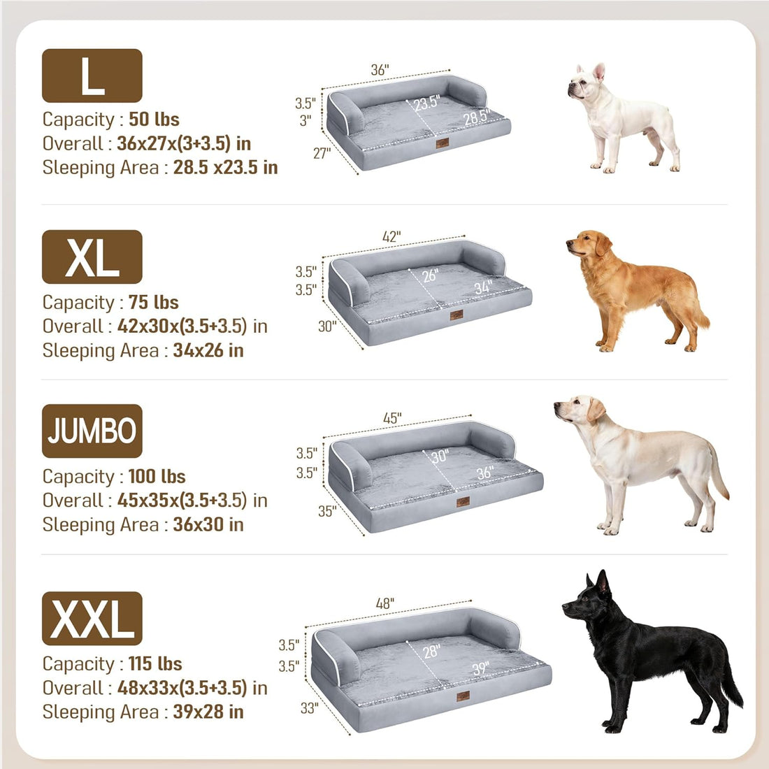 Comfort Expression Orthopedic XL Dog Bed for Large and Extra Large