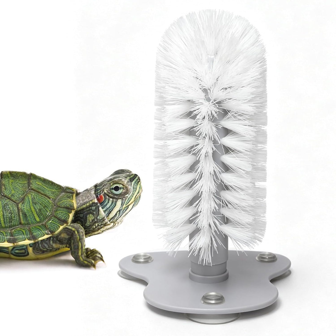 Turtle Brush with Suction Cup, Aquatic Turtle Tank Accessories