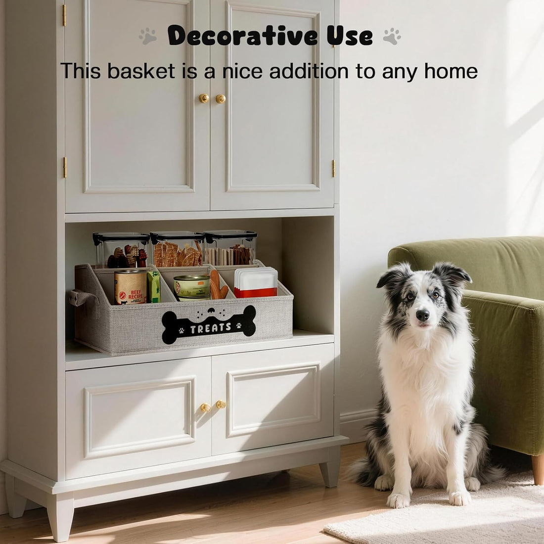 Dog Treat Container, Dogs Storage Organizer with Removable Dividers