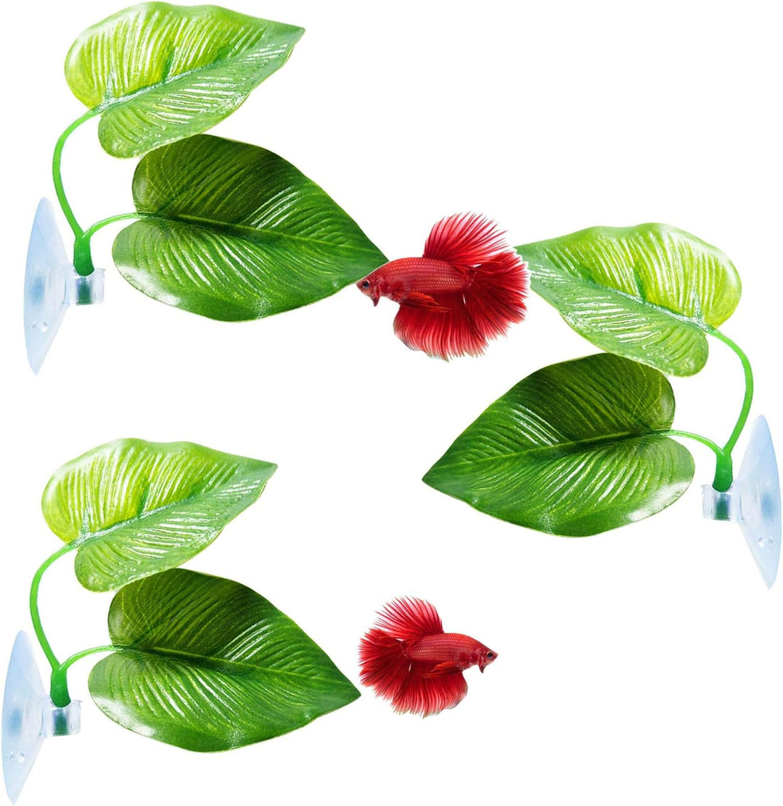 CousDUoBe 2 Pack Betta Fish Leaf Pad Improves Betta's Health by