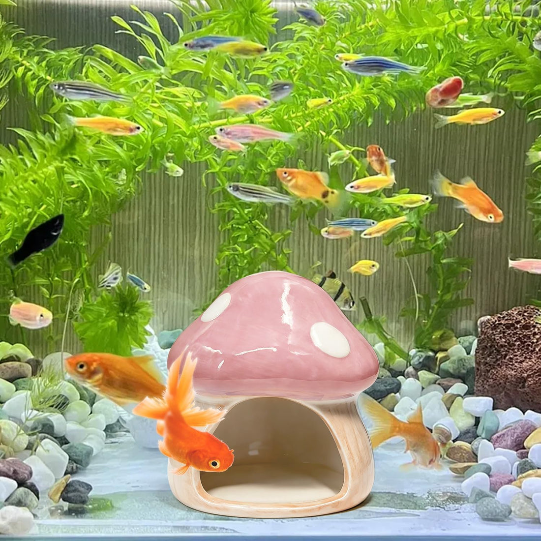 Betta Fish Tank Accessories, 4.33" Ceramic Mushroom Aquarium Decor