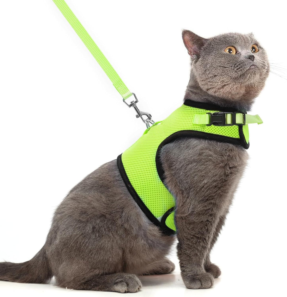 PUPTECK Soft Mesh Cat Vest Harness and Leash Set Puppy Padded Pet