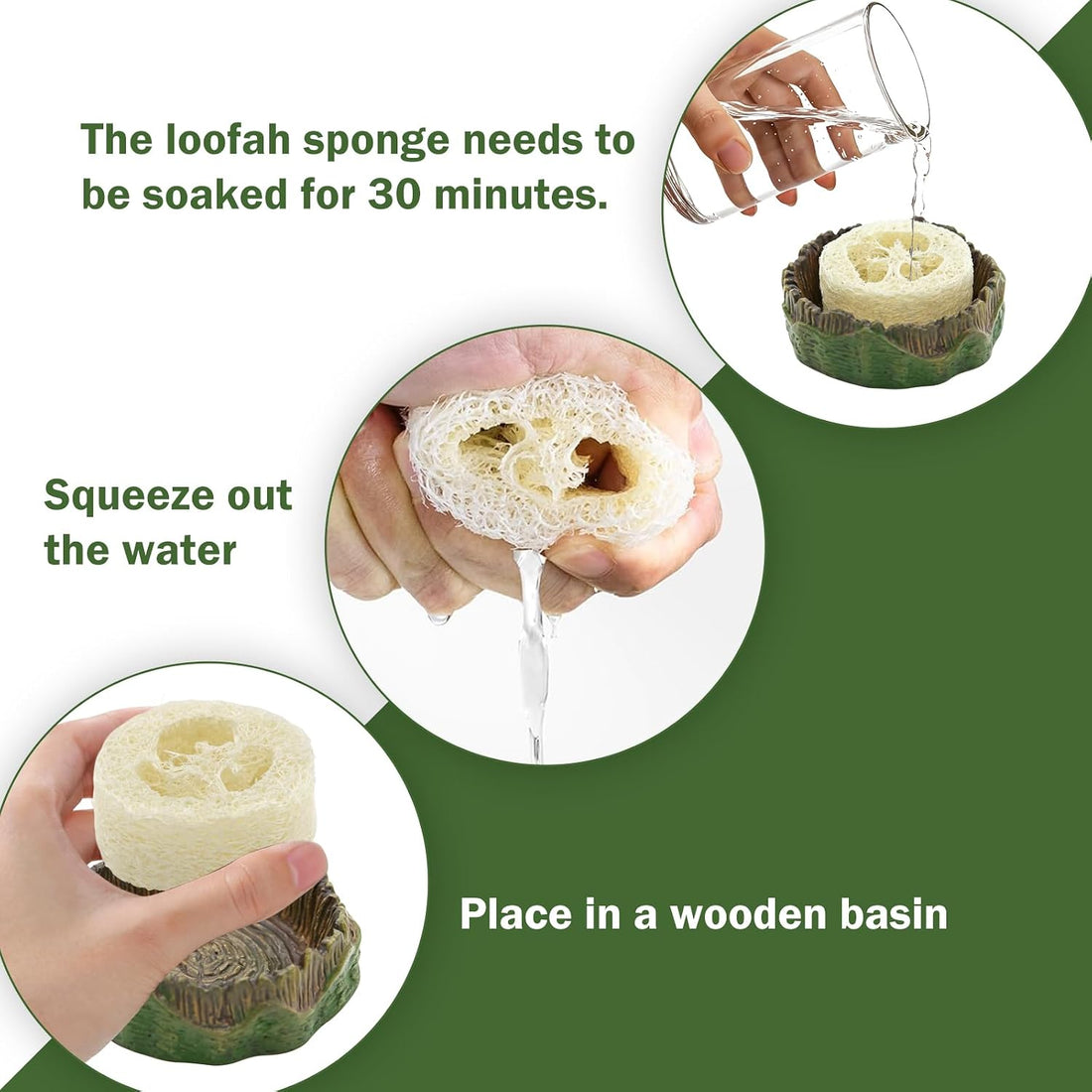Cockroach Water Basin & 3 Loofah Set