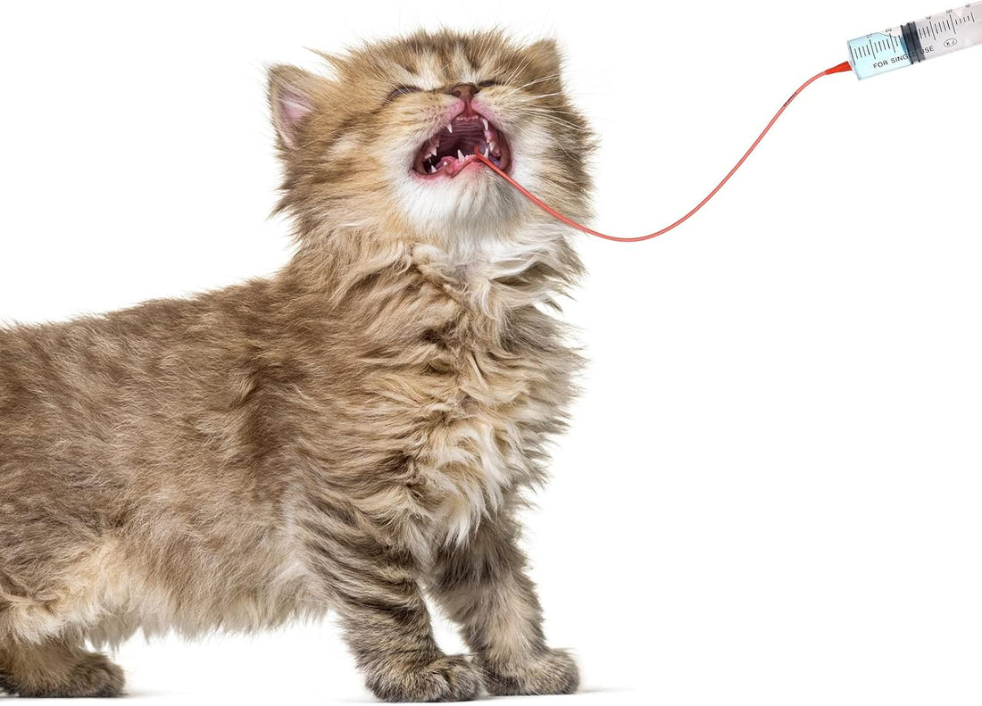 Jutom 10 Pack Puppy Kitten Feeding Tube Kit Include 5 Pack 8 FR Red