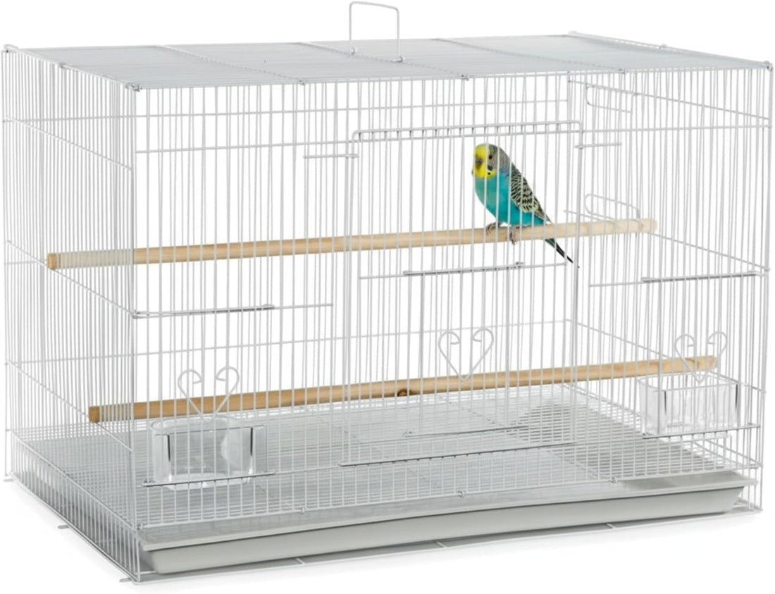 A&E Cage Co 503 Flight Bird Cage for Finches & Parakeets, 24"x16"x16"