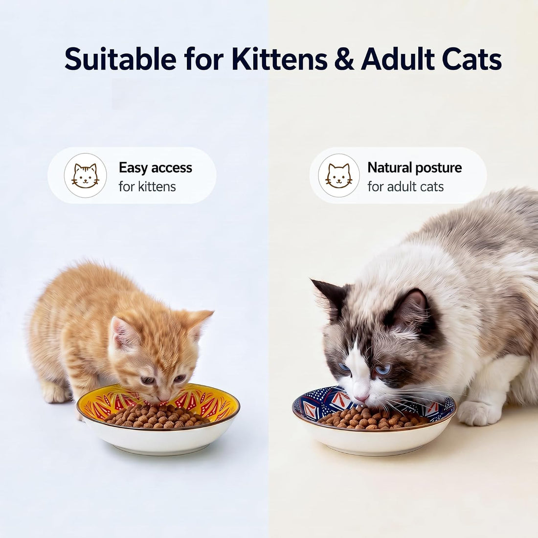 Ceramic Cat Bowls Set of 6 - Colorful Cute Shallow Cat Dishes