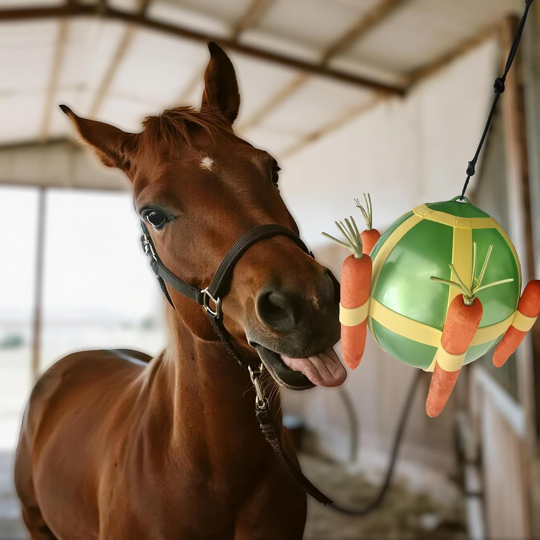 Horse Treat Ball & Horse Stall Toys