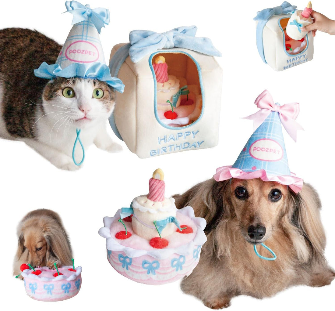 Birthday Cake Snuffle Toy Set
