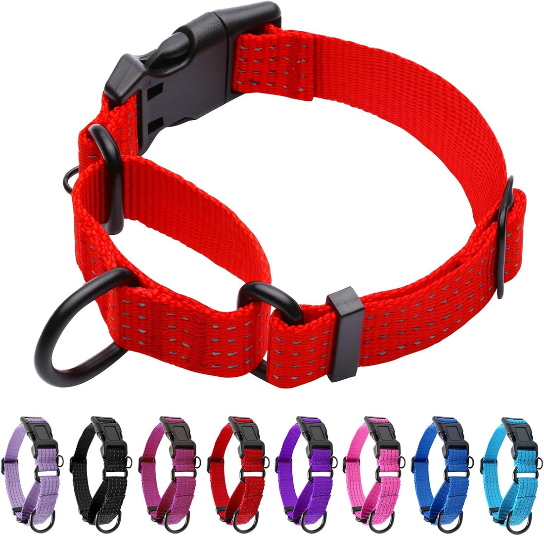Martingale Dog Collar, Reflective No Pull with Buckle, Blue, M