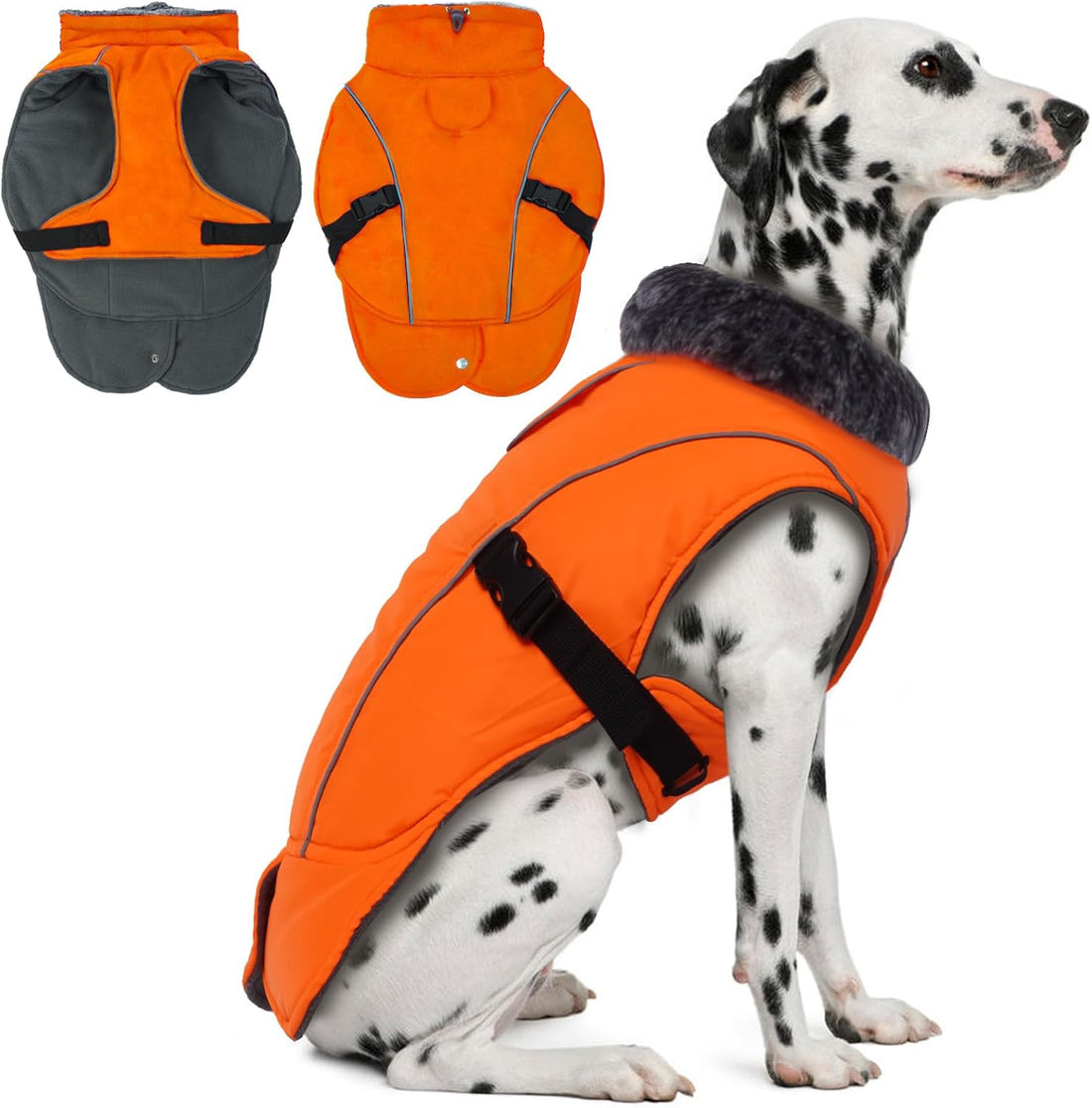 DENTRUN Warm Dog Winter Coat