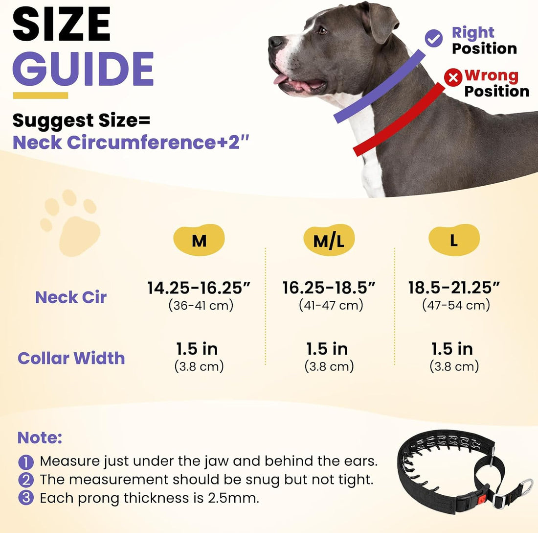Crazy Felix No Pull Dog Collar, Hidden Martingale Training Collar
