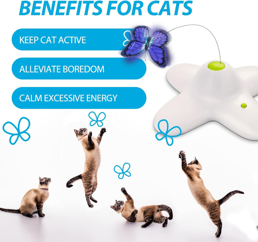 AFP Interactive Cat Toy, Butter-Fly Interactive for Indoor Cats