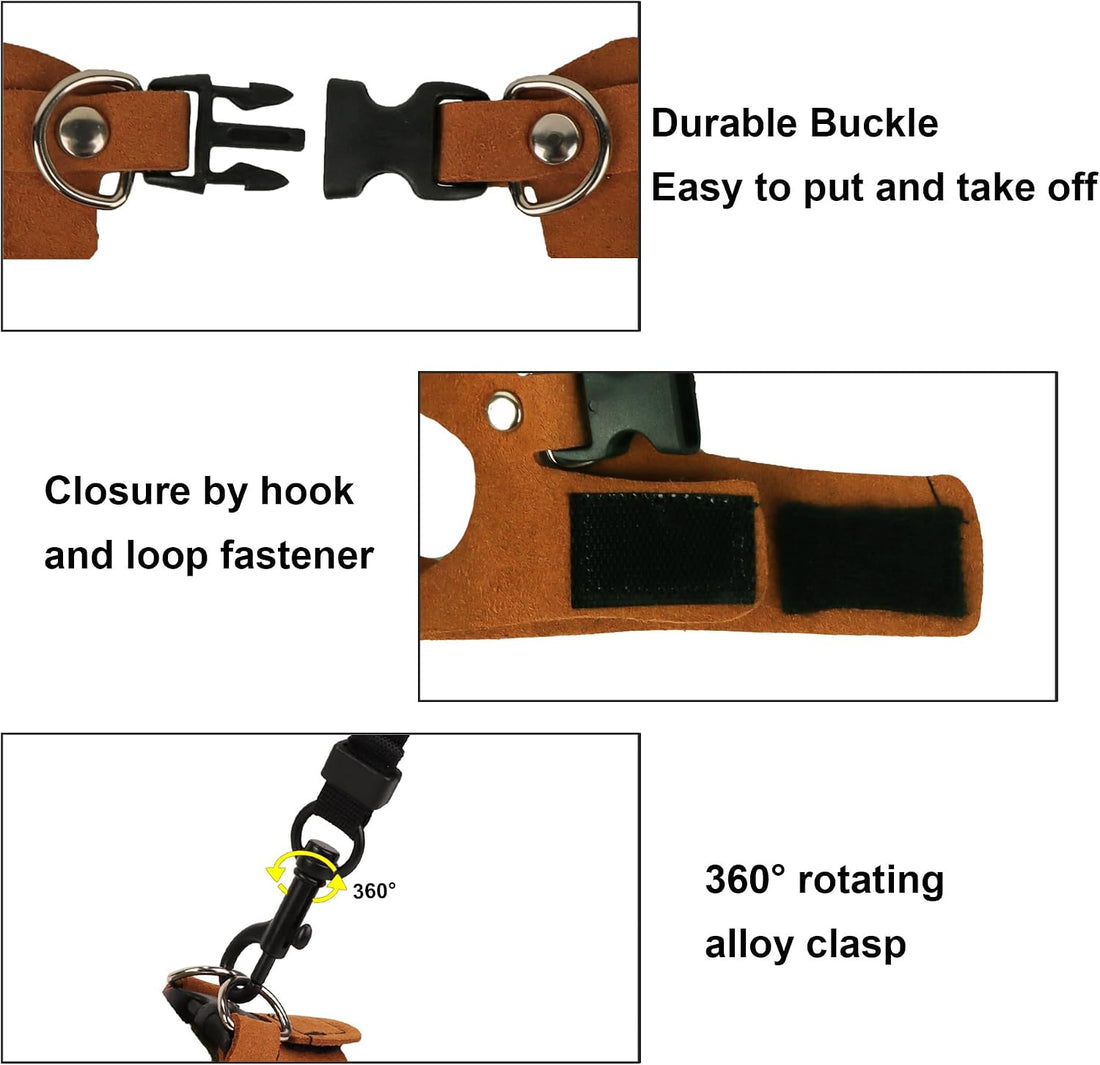 ADOGGYGO Bearded Dragon Harness Leash Set, 3 Size Lizard Harness