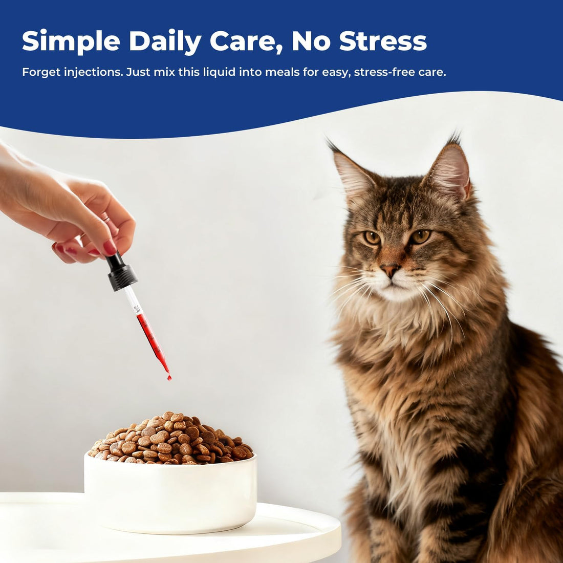 Appetite Stimulant for Cats, Liquid Vitamin B12 & Methylcobalamin