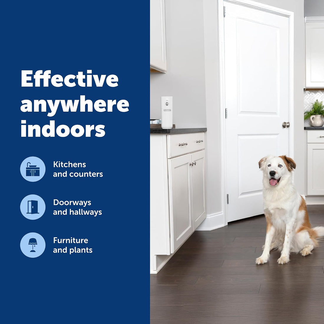 PetSafe SSSCAT Automatic Spray Pet Deterrent
