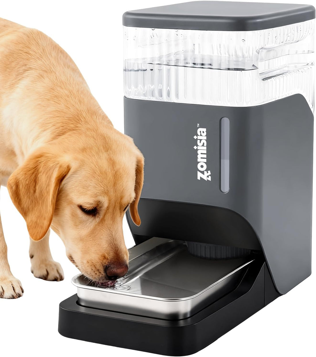 ZOMISIA 2.1 Gallon Gravity Dog Water Dispenser with Stainless Steel