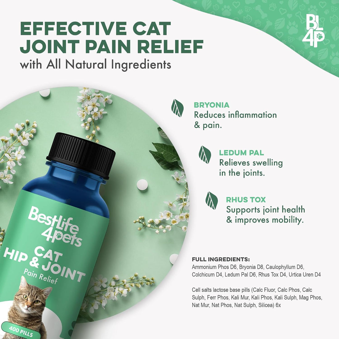 Cat Joint Supplement and Mobility Support