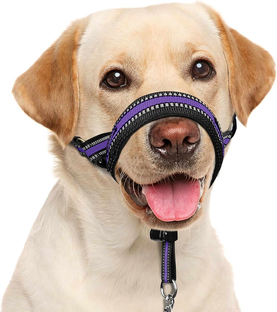 BARKLESS Soft Dog Head Collar