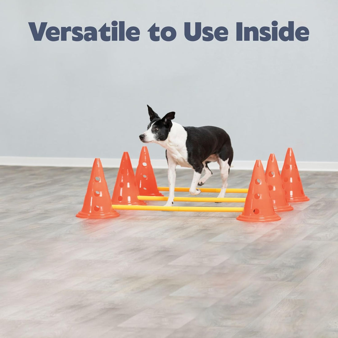 TRIXIE Dog Agility Hurdle Cone Set – 6 x Cones, 3 x Agility Rods