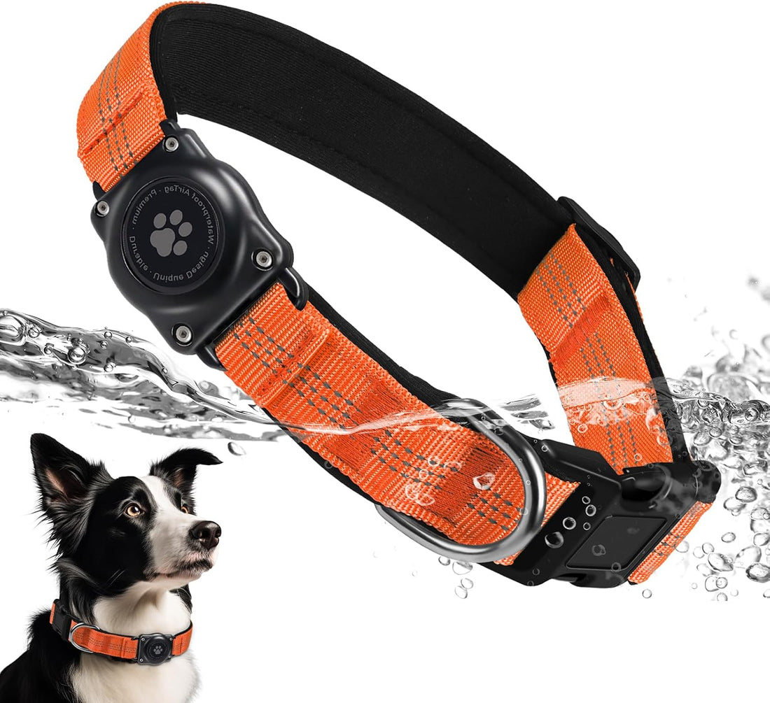 Upgrade Dog Collar with AirTag Holder, IP68 Waterproof, Blue, M