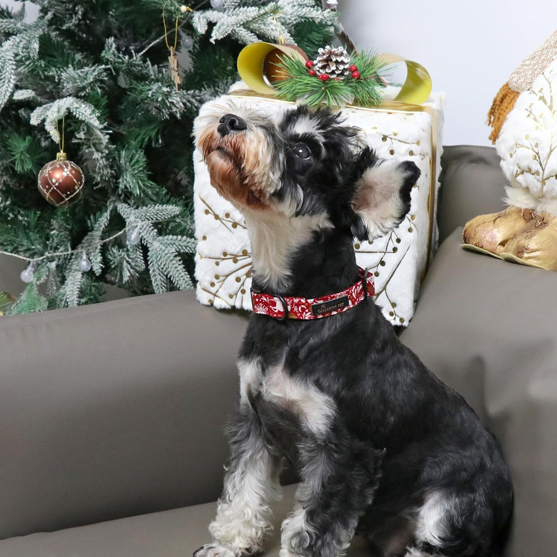 ARING PET Dinosaur Dog Collar-Cute Dog Collar for Small Dogs
