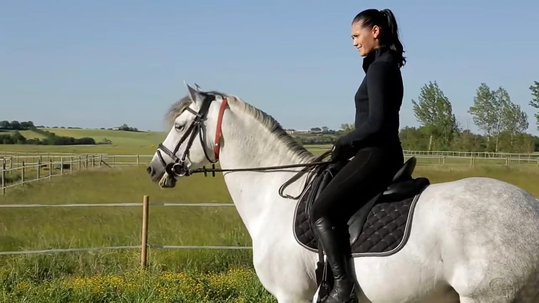 ALZOO Fly Collar for Horses, Up to 4 Weeks