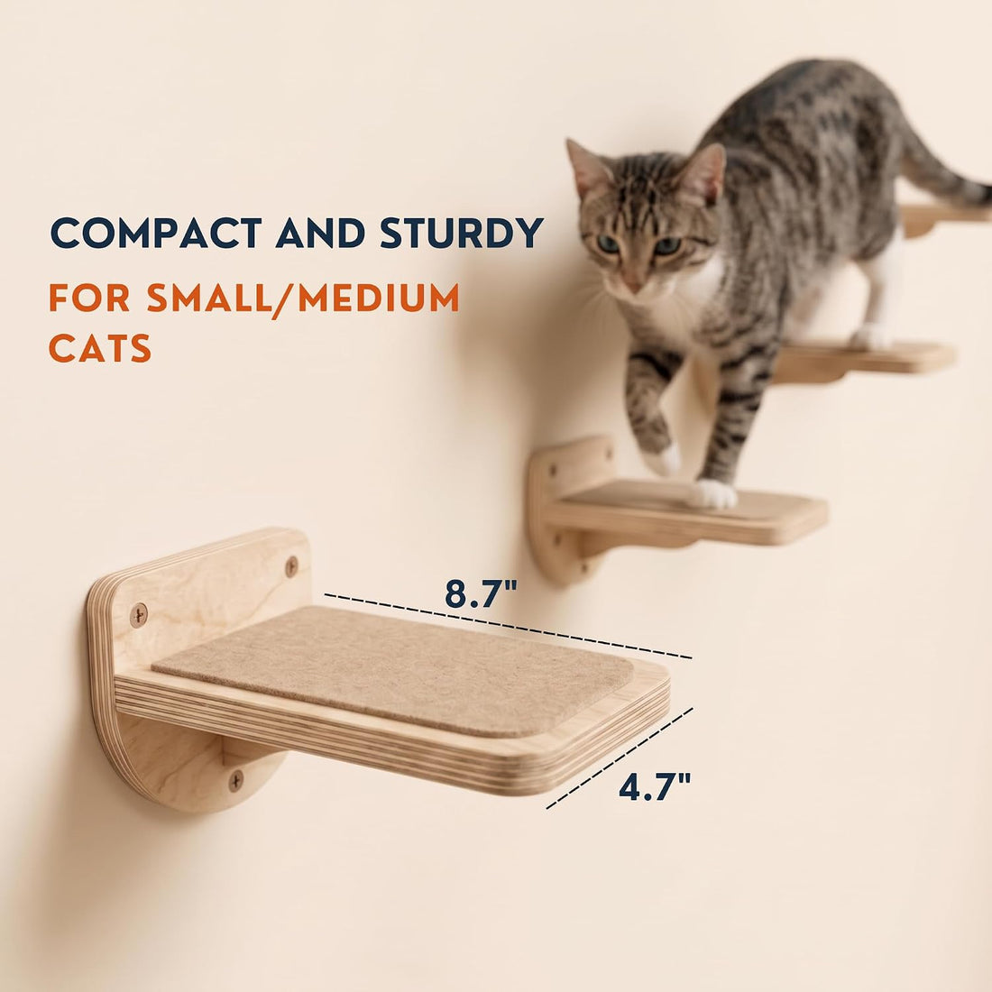 INICIO Cat Wall Stairs, Natural Wood