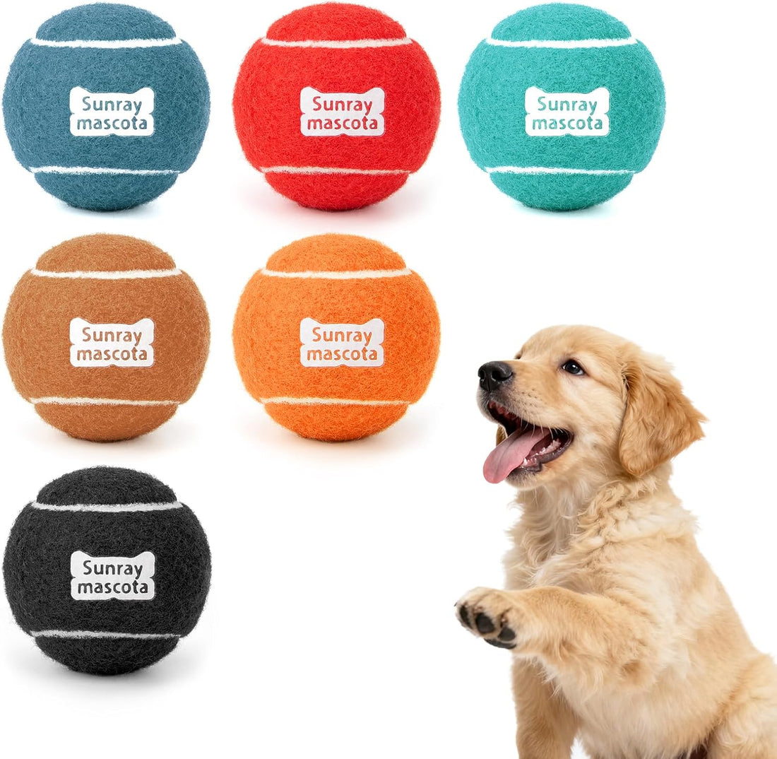 Sunraymascota 6-Pack Tennis Balls for Dogs Fetch Toys,for Beginner