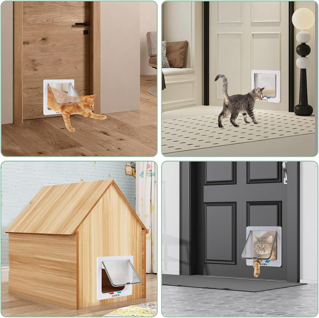 Cat Door- 4-Way Locking Option