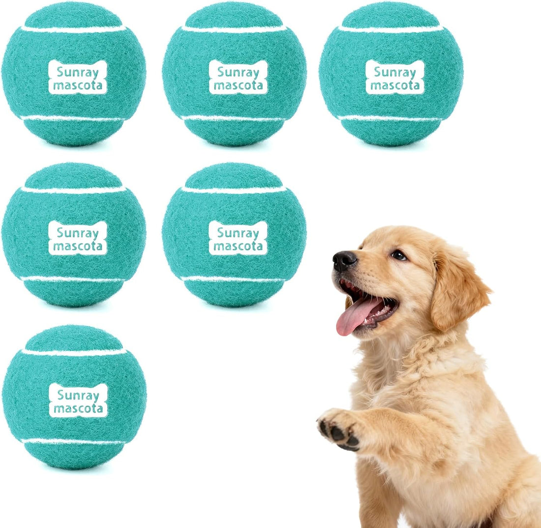 Sunraymascota 6-Pack Tennis Balls for Dogs Fetch Toys,for Beginner