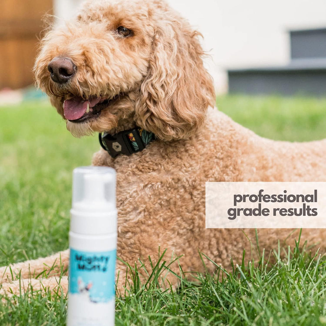 Mighty Mutt Hypoallergenic Waterless Dog Shampoo