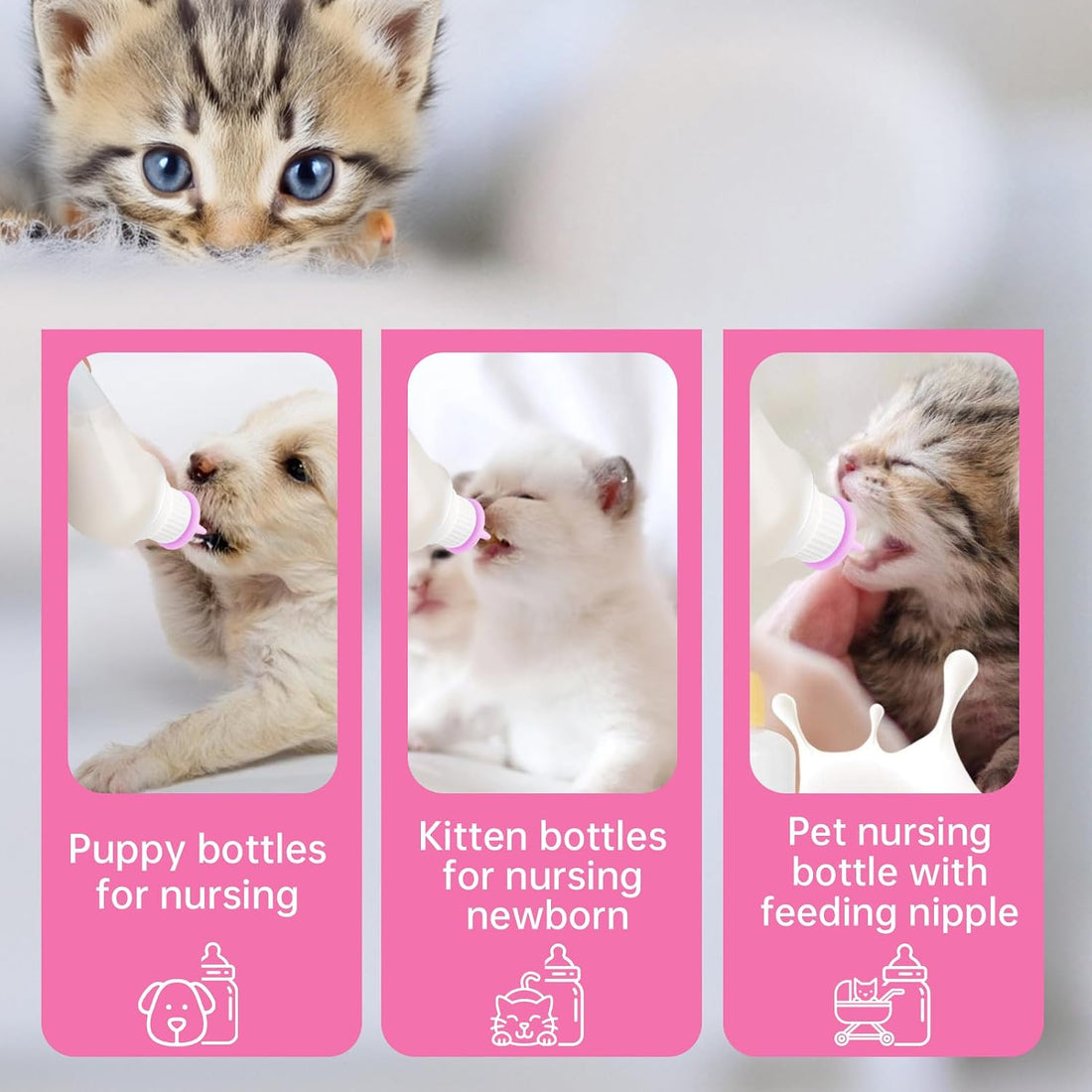 Xuandea 5Pack Kitten Bottle for Nursing Puppy Milk Kitten Bottles