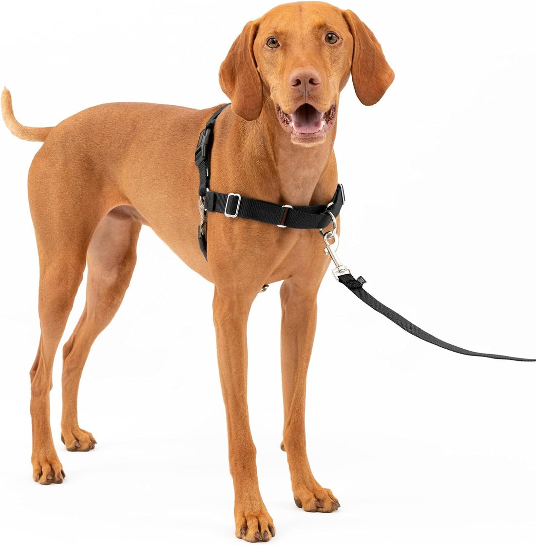 PetSafe Easy Walk Harness, No Pull Dog Harness, Black, Medium