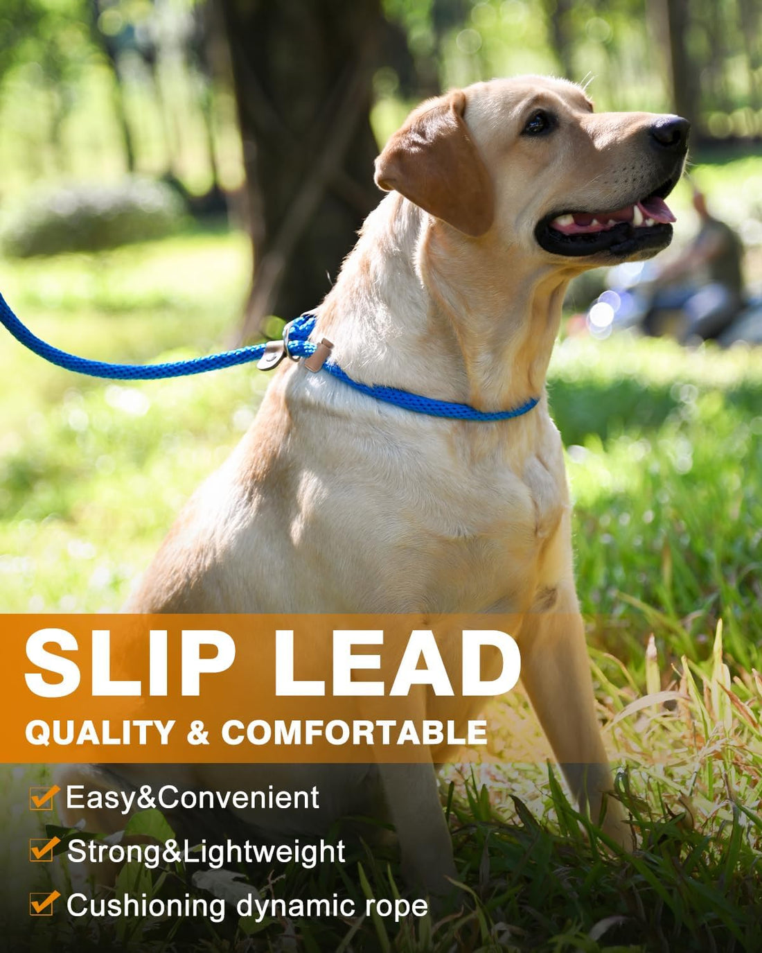 lynxking Dog Leash Slip Lead, Braided Padded Loop Leash 5ft 6ft 8ft