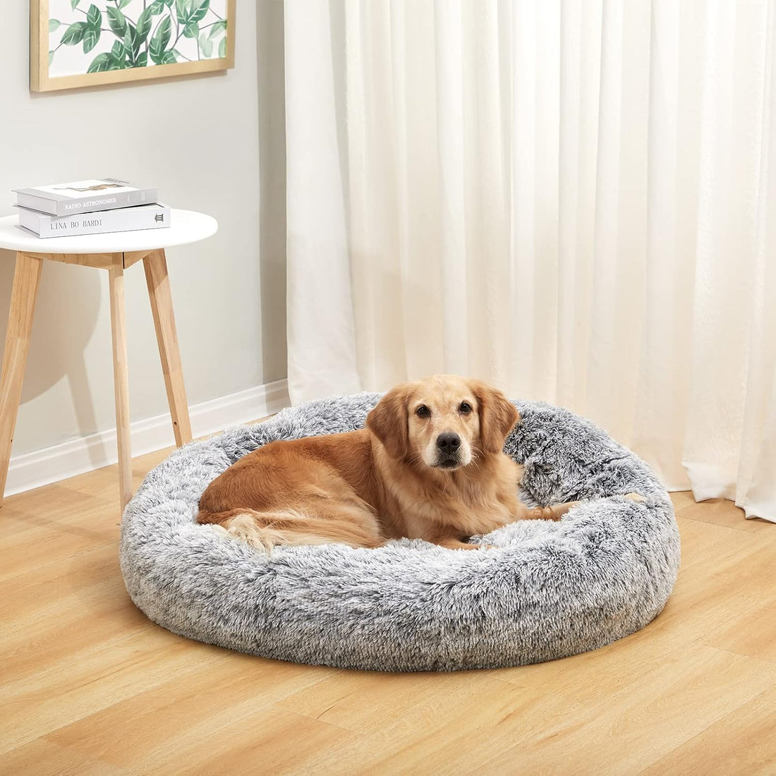 Bedfolks Calming Donut Dog Bed, 36 Inches Round Fluffy for Large Dogs