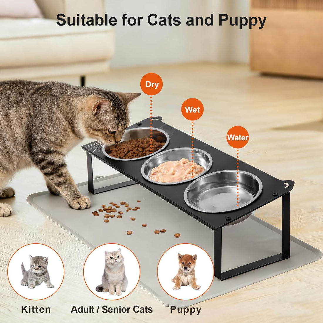 Elevated Cat Bowls with Food Mat