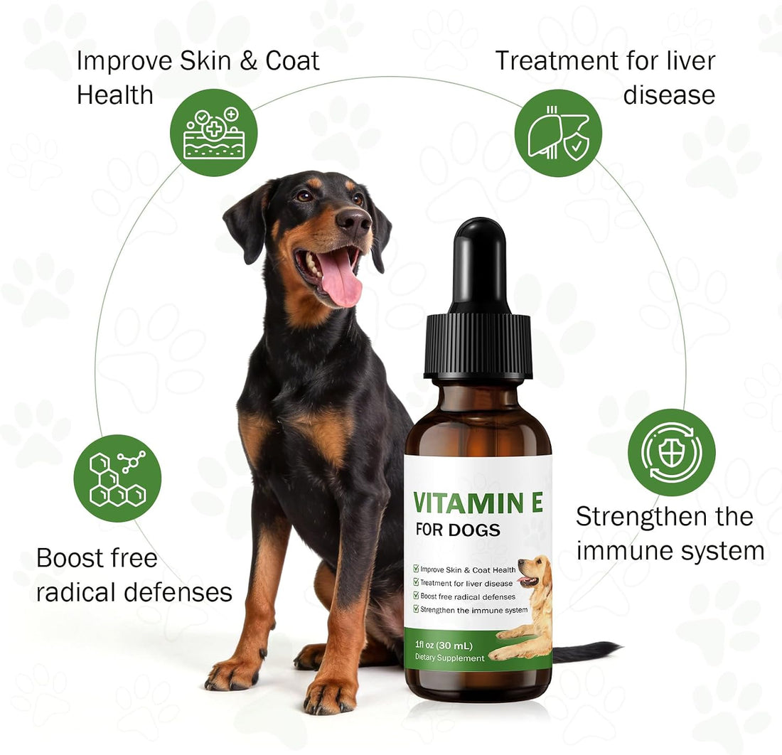Vitamin E for Dogs - Liquid Vitamin E Oil Supplement for Skin, Coat
