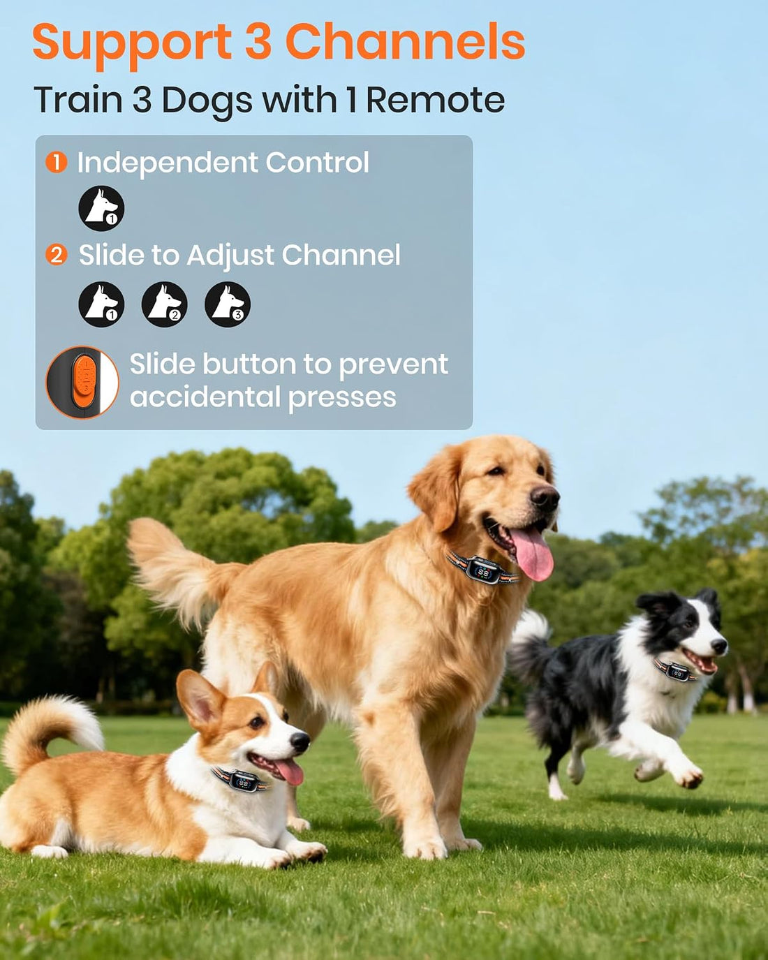 Bark & Shock Collar Combo for 2 Dogs