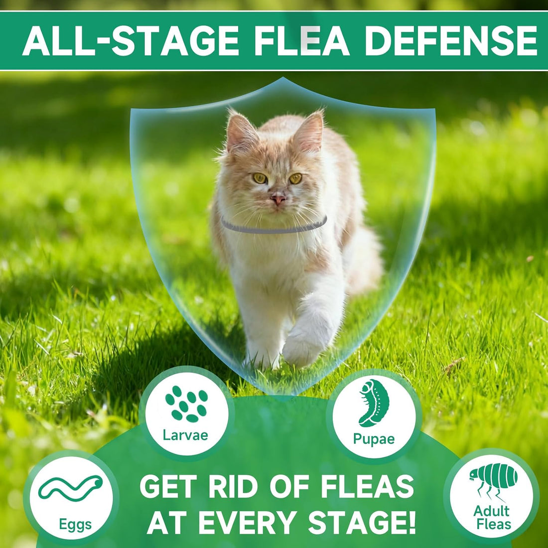 4 Pack Flea Collar for Cats, 32 Months Flea and Tick Prevention