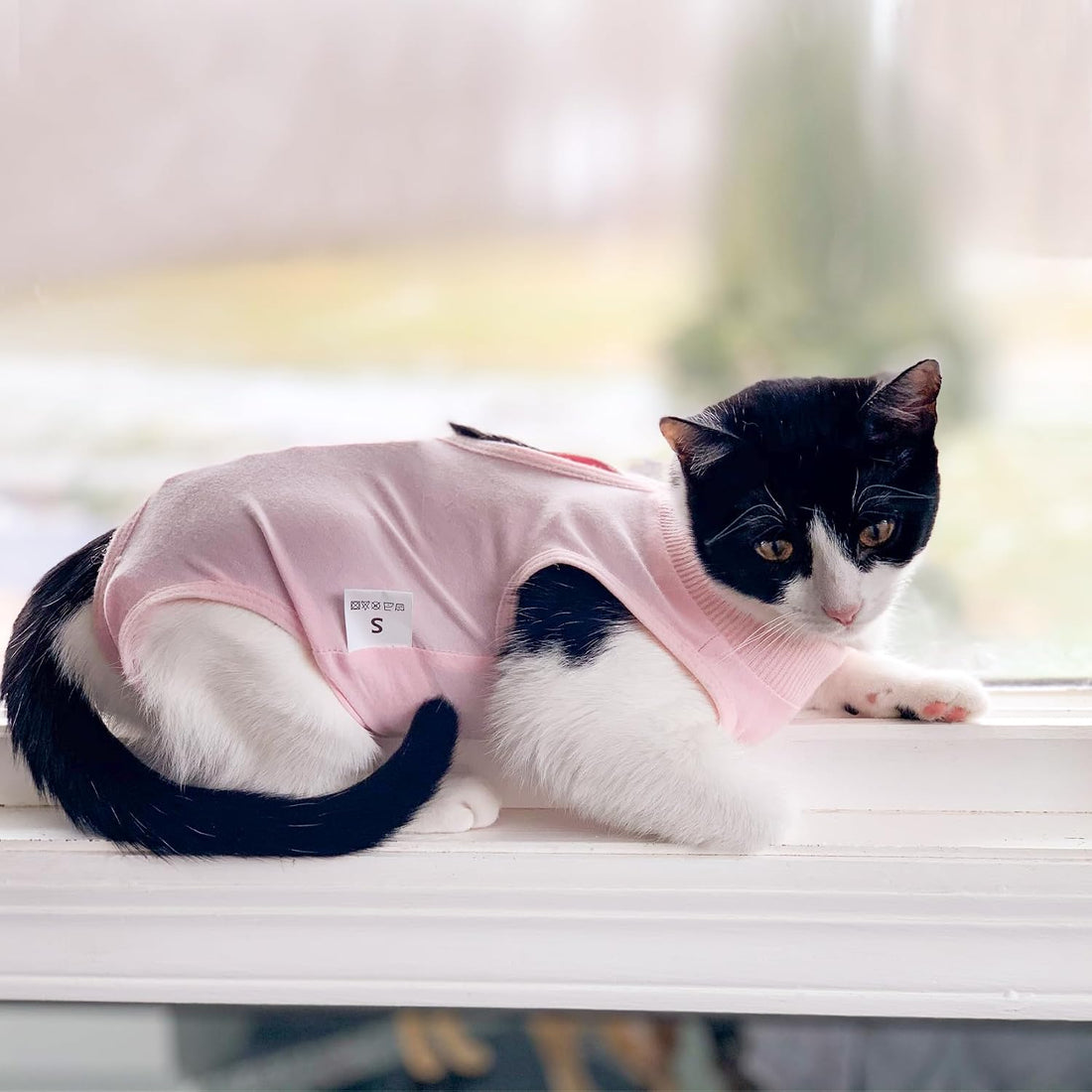 DOTON Cat Recovery Suit for Male and Female Surgical Post Surgery
