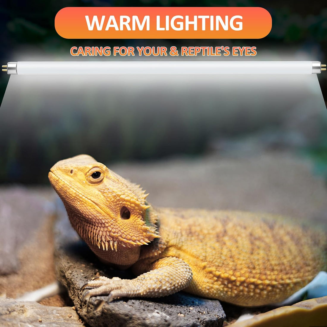 T8 UVB Reptile Light 15W 10.0-2 Pack,UVA UVB Light Bulb