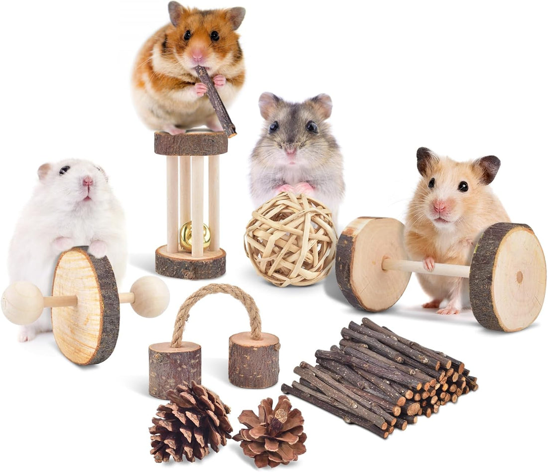 ERKOON 11 Pack Chinchillas Chew Toys, Toys Accessories for Teeth Care